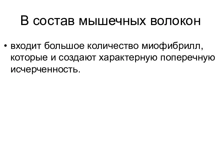 В состав мышечных волокон входит большое количество миофибрилл, которые и создают характерную поперечную исчерченность.