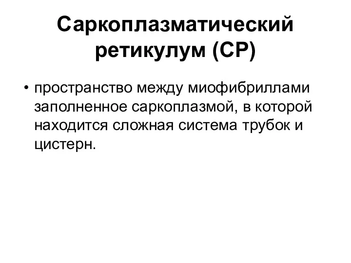 Саркоплазматический ретикулум (СР) пространство между миофибриллами заполненное саркоплазмой, в которой находится сложная система трубок и цистерн.