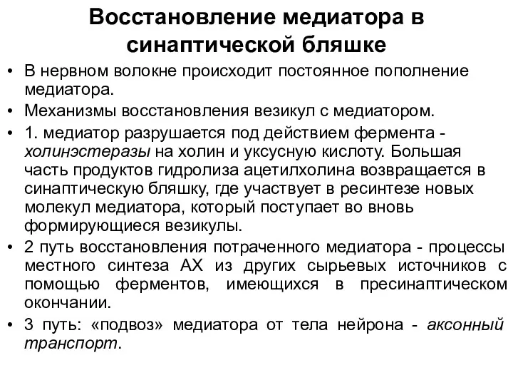 Восстановление медиатора в синаптической бляшке В нервном волокне происходит постоянное