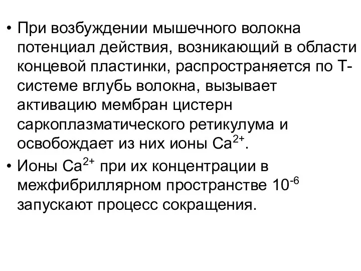 При возбуждении мышечного волокна потенциал действия, возникающий в области концевой