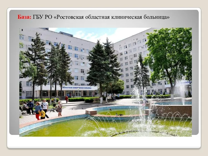 База: ГБУ РО «Ростовская областная клиническая больница»