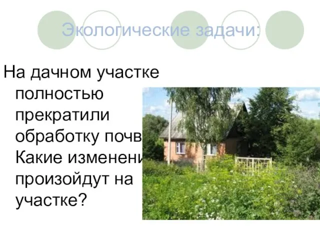 Экологические задачи: На дачном участке полностью прекратили обработку почвы. Какие изменения произойдут на участке?