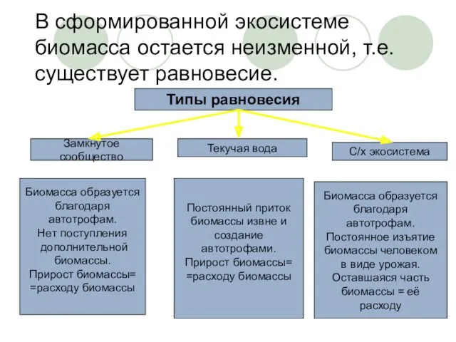 В сформированной экосистеме биомасса остается неизменной, т.е. существует равновесие. Типы