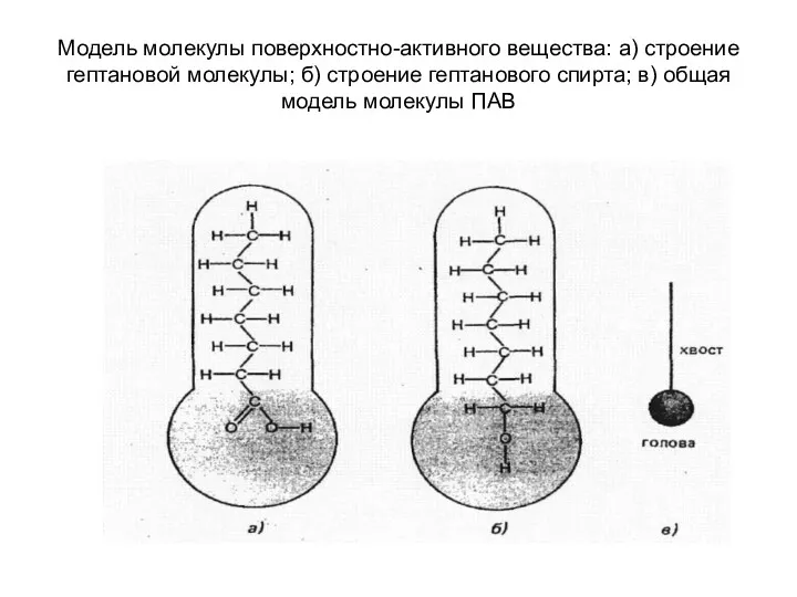 Модель молекулы поверхностно-активного вещества: а) строение гептановой молекулы; б) строение