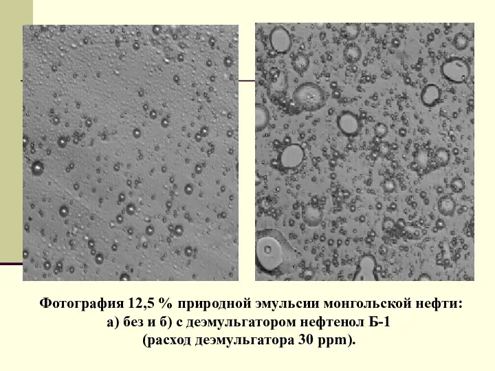 Фотография 12,5 % природной эмульсии монгольской нефти: а) без и