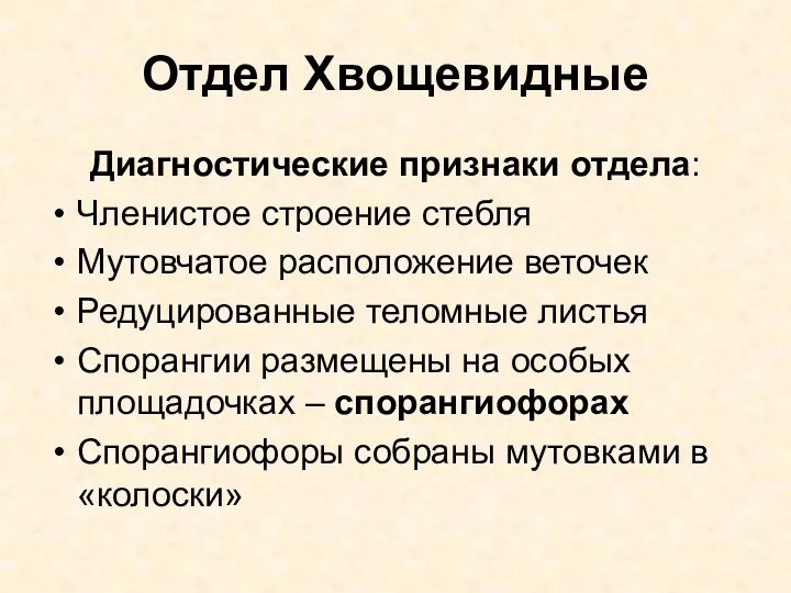 Отдел Хвощевидные Диагностические признаки отдела: Членистое строение стебля Мутовчатое расположение