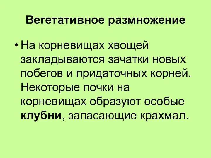 Вегетативное размножение На корневищах хвощей закладываются зачатки новых побегов и