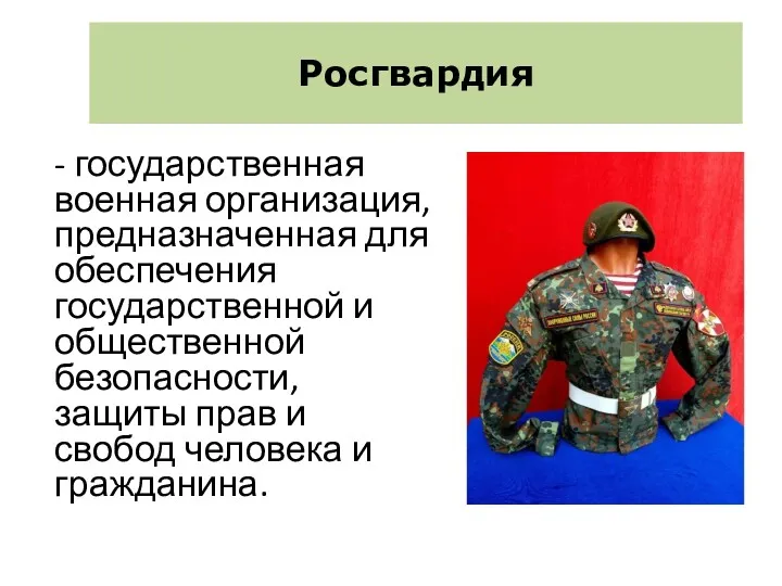 Росгвардия - государственная военная организация, предназначенная для обеспечения государственной и