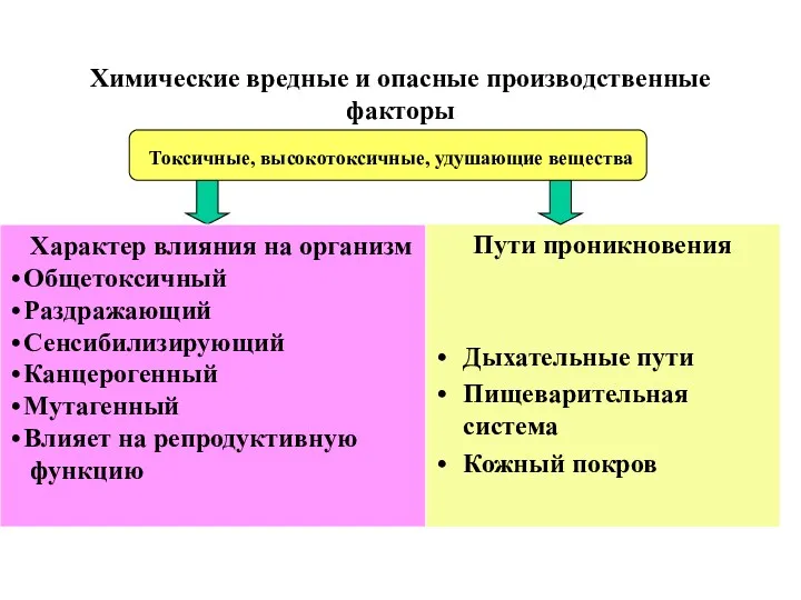 Химические вредные и опасные производственные факторы Пути проникновения Дыхательные пути