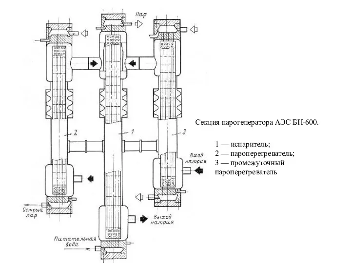 1 — испаритель; 2 — пароперегреватель; 3 — промежуточный пароперегреватель Cекция парогенератора АЭС БН-600.