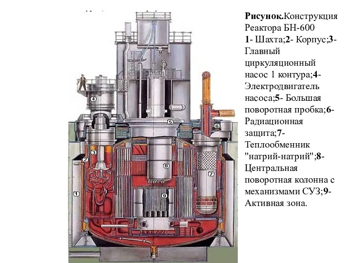 Рисунок.Конструкция Реактора БН-600 1- Шахта;2- Корпус;3- Главный циркуляционный насос 1