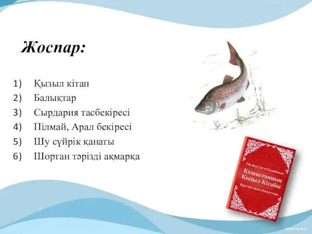 Жоспар: Қызыл кітап Балықтар Сырдария тасбекіресі Пілмай, Арал бекіресі Шу сүйрік қанаты Шортан тәрізді ақмарқа