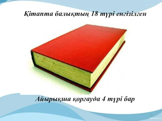 Қітапта балықтың 18 түрі енгізілген Айырықша қорғауда 4 түрі бар