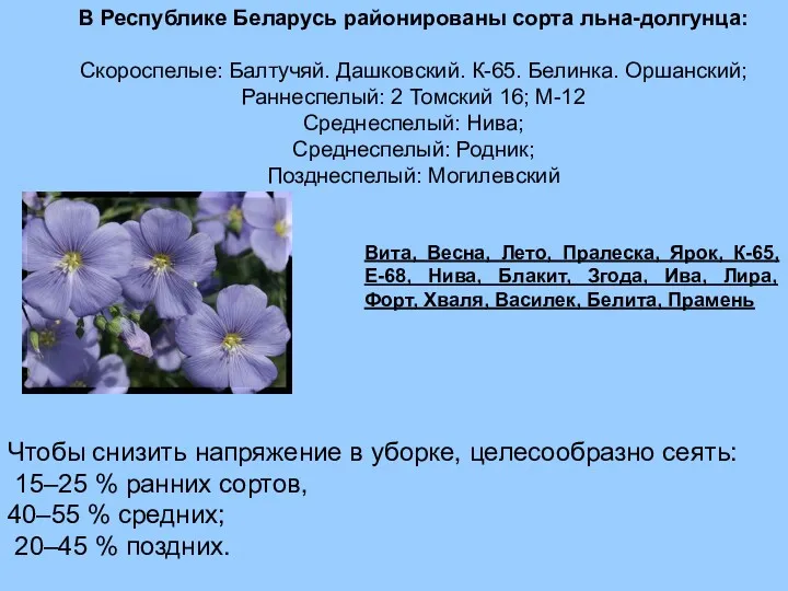 В Республике Беларусь районированы сорта льна-долгунца: Скороспелые: Балтучяй. Дашковский. К-65.