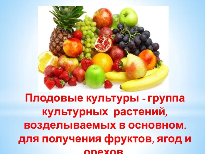 Плодовые культуры - группа культурных растений, возделываемых в основном. для получения фруктов, ягод и орехов.