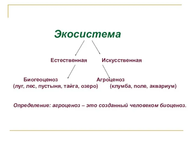 Экосистема Естественная Искусственная Биогеоценоз Агроценоз (луг, лес, пустыня, тайга, озеро)