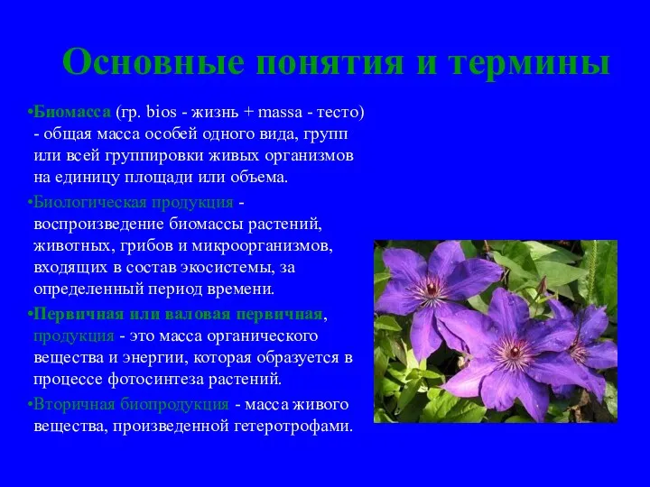 Основные понятия и термины Биомасса (гр. bios - жизнь + massa - тесто)