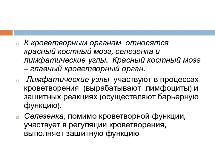 К кроветворным органам относятся красный костный мозг, селезенка и лимфатические