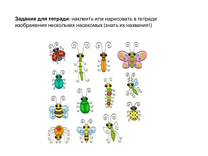 Задание для тетради: наклеить или нарисовать в тетради изображения нескольких насекомых (знать их названия!)