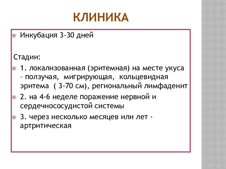 КЛИНИКА Инкубация 3-30 дней Стадии: 1. локализованная (эритемная) на месте