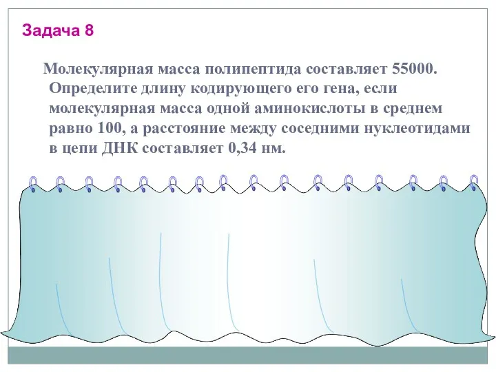 Задача 8 Молекулярная масса полипептида составляет 55000. Определите длину кодирующего