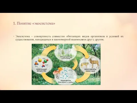 1. Понятие «экосистема» Экосистема – совокупность совместно обитающих видов организмов