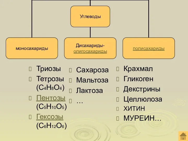 Триозы Тетрозы (С4Н8О4) Пентозы (С5Н10О5) Гексозы (С6Н12О6) Сахароза Мальтоза Лактоза