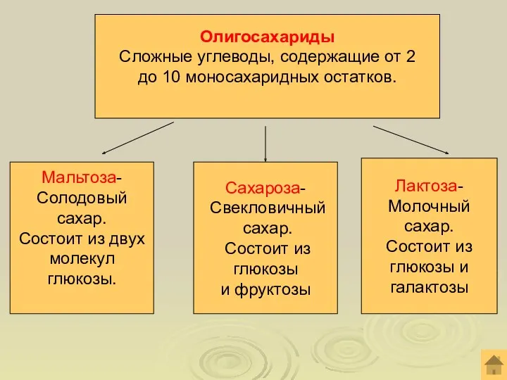 Олигосахариды Сложные углеводы, содержащие от 2 до 10 моносахаридных остатков.