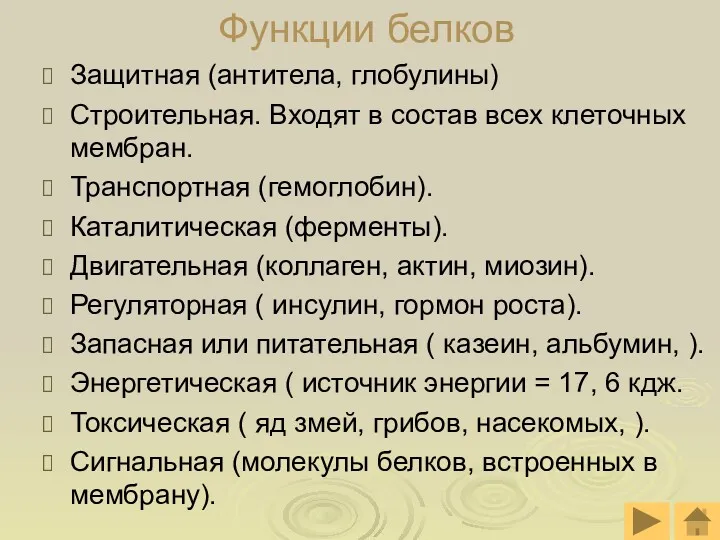 Функции белков Защитная (антитела, глобулины) Строительная. Входят в состав всех