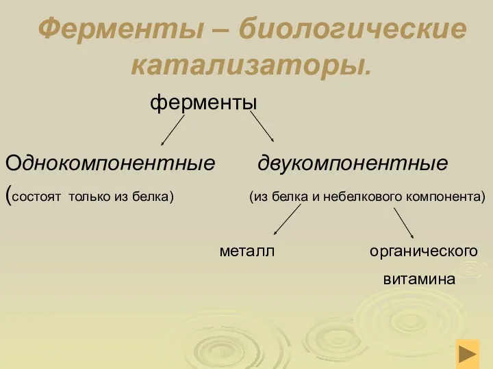 Ферменты – биологические катализаторы. ферменты Однокомпонентные двукомпонентные (состоят только из