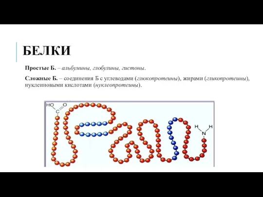 БЕЛКИ Простые Б. – альбумины, глобулины, гистоны. Сложные Б. –