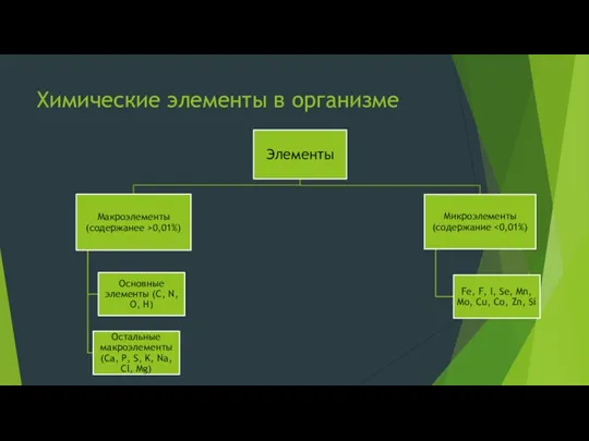 Химические элементы в организме