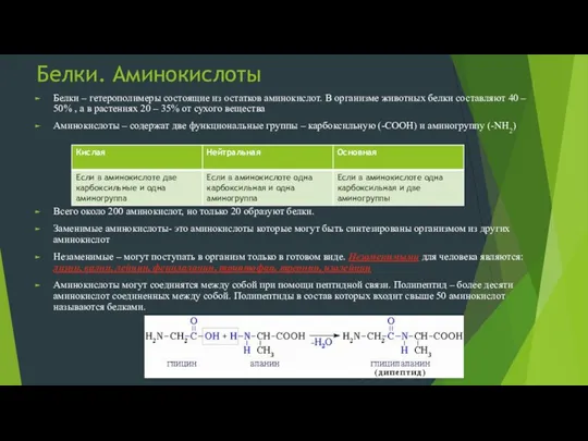 Белки. Аминокислоты Белки – гетерополимеры состоящие из остатков аминокислот. В