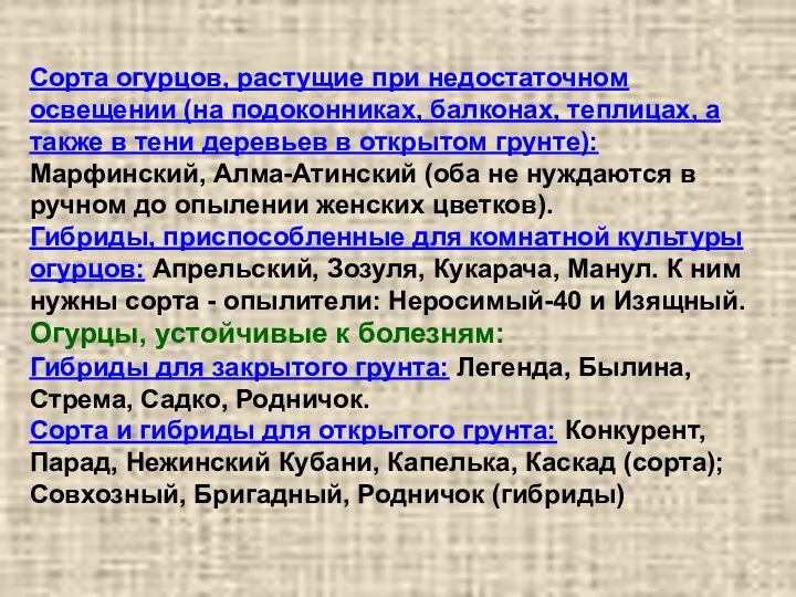 Сорта огурцов, растущие при недостаточном освещении (на подоконниках, балконах, теплицах,