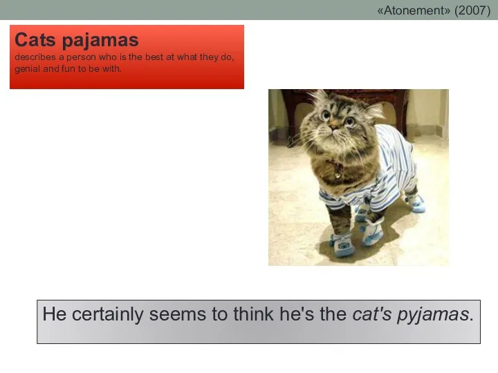 He certainly seems to think he's the cat's pyjamas. Cats pajamas describes a
