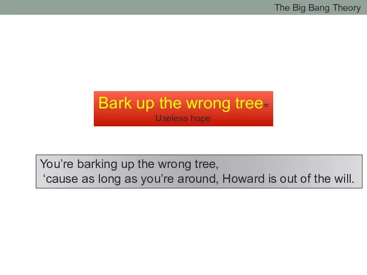 Bark up the wrong tree= Useless hope You’re barking up the wrong tree,
