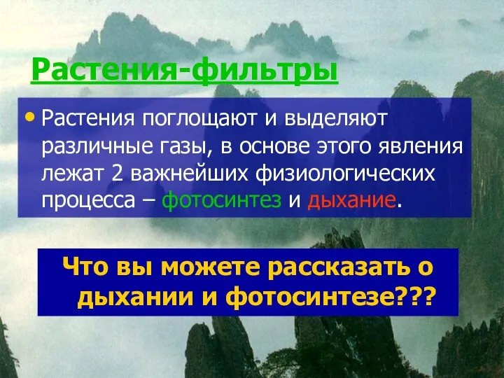 Растения-фильтры Что вы можете рассказать о дыхании и фотосинтезе??? Растения