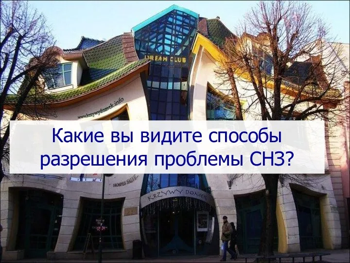 Какие вы видите способы разрешения проблемы СНЗ?