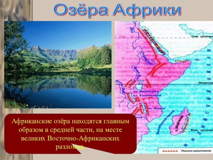 Озёра Африки Африканские озёра находятся главным образом в средней части, на месте великих Восточно-Африканских разломов.