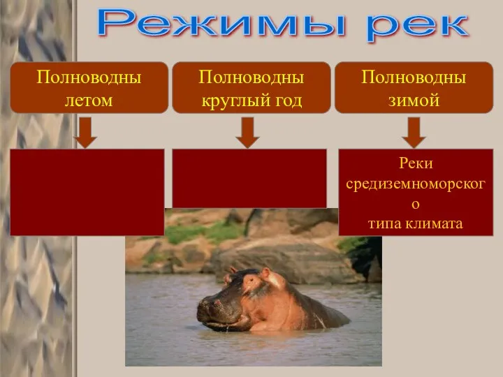 Режимы рек Полноводны летом Полноводны круглый год Полноводны зимой Реки средиземноморского типа климата