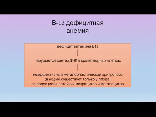 В-12 дефицитная анемия дефицит витамина В12 нарушается синтез ДНК в