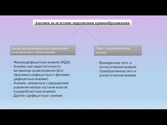 Анемии вследствие нарушения кровообразования Анемии при функциональных нарушениях костномозгового кроветворения