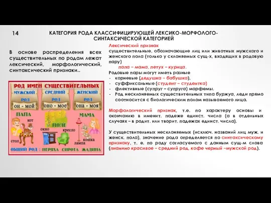 КАТЕГОРИЯ РОДА КЛАССИФИЦИРУЮЩЕЙ ЛЕКСИКО-МОРФОЛОГО-СИНТАКСИЧЕСКОЙ КАТЕГОРИЕЙ В основе распределения всех существительных