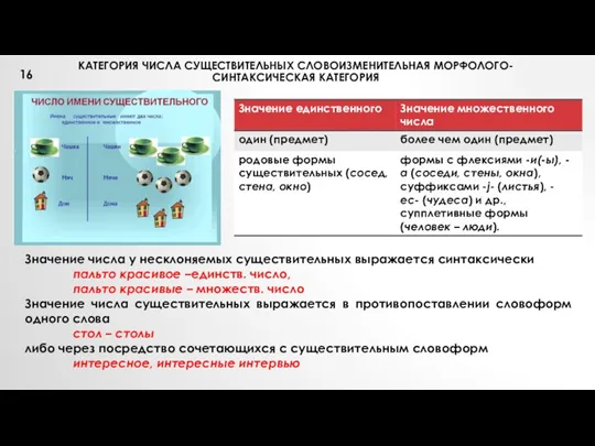 КАТЕГОРИЯ ЧИСЛА СУЩЕСТВИТЕЛЬНЫХ СЛОВОИЗМЕНИТЕЛЬНАЯ МОРФОЛОГО-СИНТАКСИЧЕСКАЯ КАТЕГОРИЯ Значение числа у несклоняемых