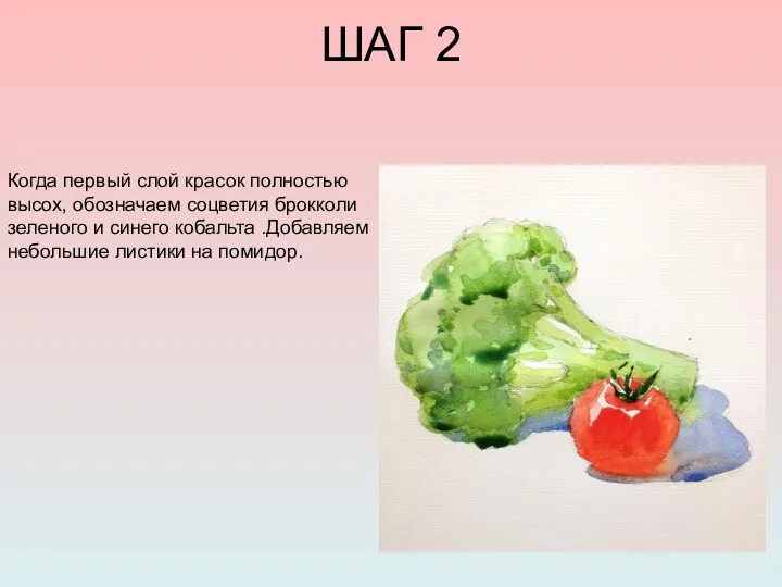 ШАГ 2 Когда первый слой красок полностью высох, обозначаем соцветия