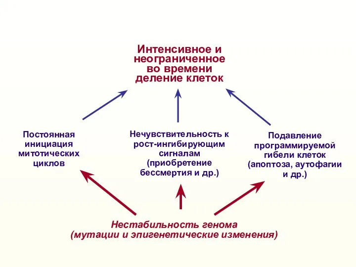 Нестабильность генома (мутации и эпигенетические изменения) Нечувствительность к рост-ингибирующим сигналам