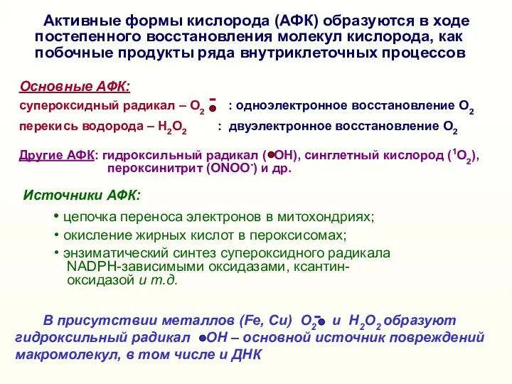 Активные формы кислорода (АФК) образуются в ходе постепенного восстановления молекул