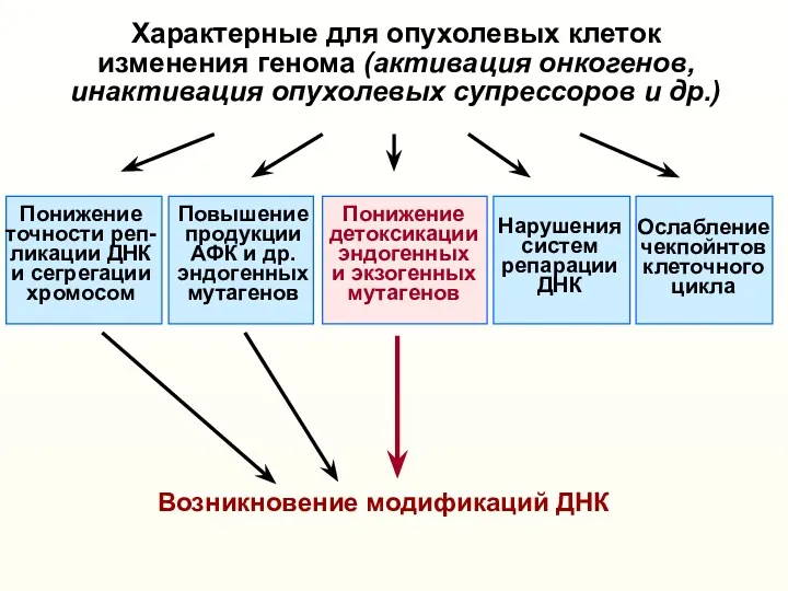 Характерные для опухолевых клеток изменения генома (активация онкогенов, инактивация опухолевых