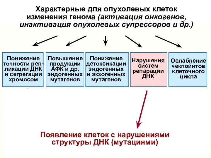 Характерные для опухолевых клеток изменения генома (активация онкогенов, инактивация опухолевых