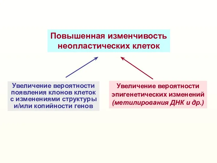 Повышенная изменчивость неопластических клеток Увеличение вероятности появления клонов клеток с